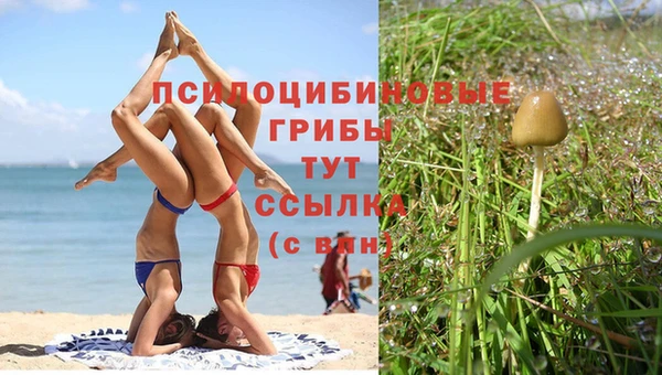 меф VHQ Рославль