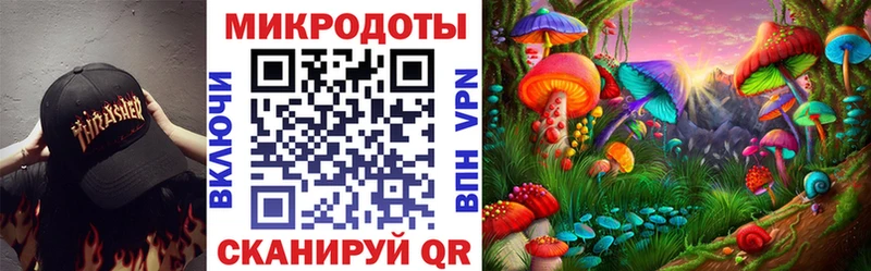 MEGA маркетплейс  Любань  площадка клад  Псилоцибиновые грибы Psilocybine cubensis 